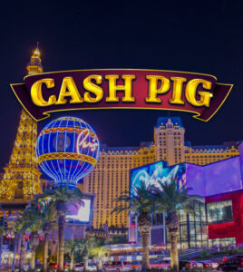 Cash Pig